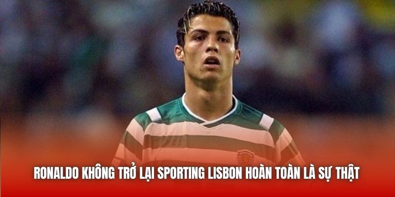 Ronaldo Không Trở Lại Sporting Lisbon - Điều Đáng Tiếc Cho Fan Hâm Mộ 1 Ronaldo không trở lại Sporting Lisbon hoàn toàn là sự thật